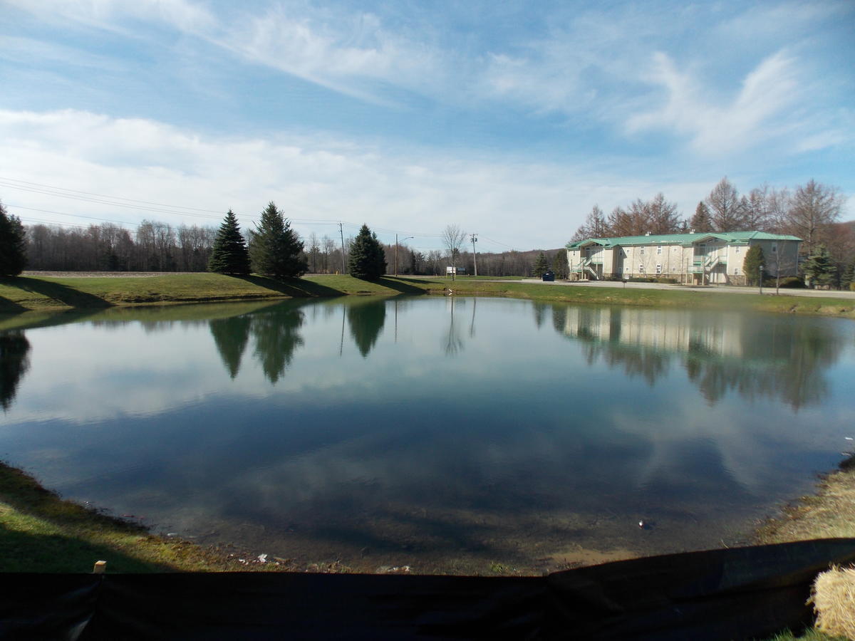 Fairway Suites At The Peak French Creek المظهر الخارجي الصورة